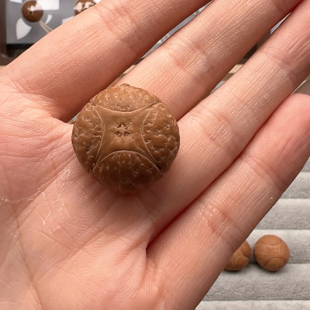 凤眼菩提吊坠跑**帅麒麟21➕