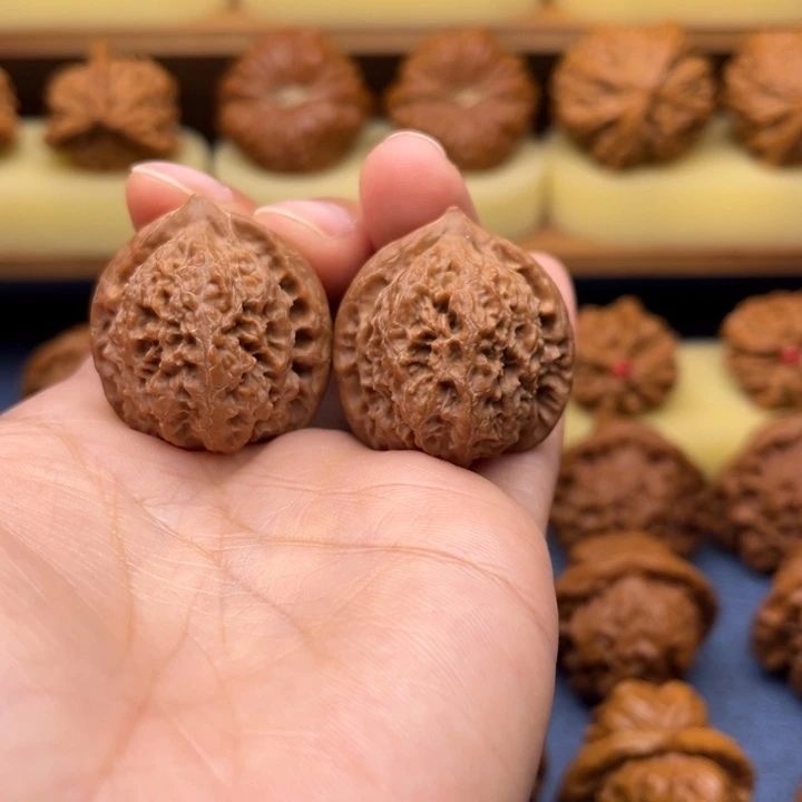 核桃31全品137狮子头红皮