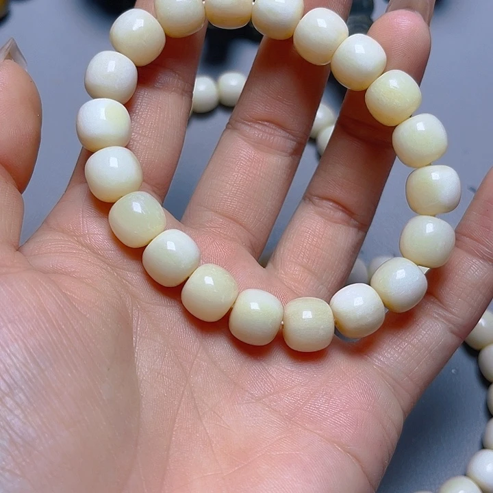 大果紫檀（缅甸花梨）