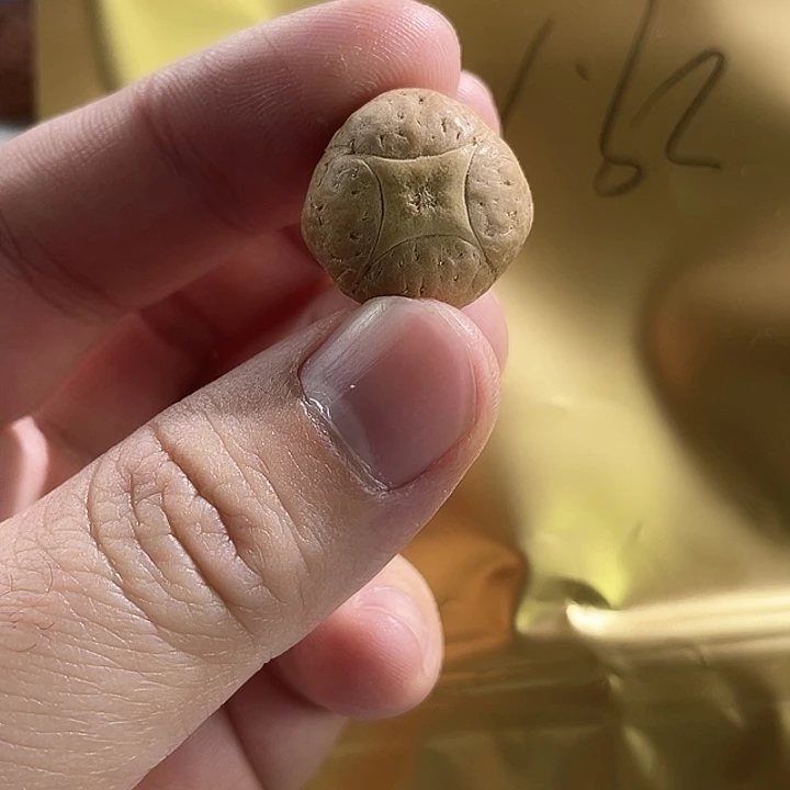 凤眼菩提手串尼泊尔小fy