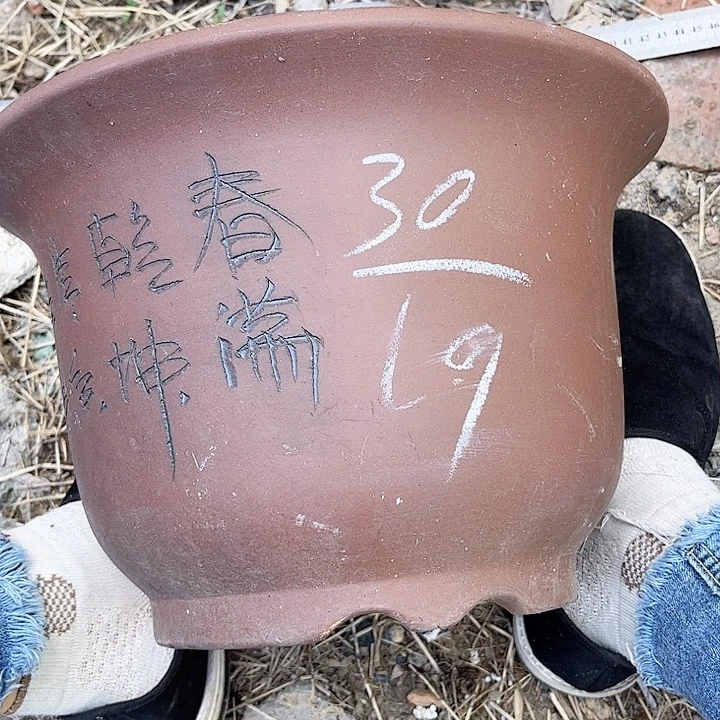 紫泥花盆紫砂花盆