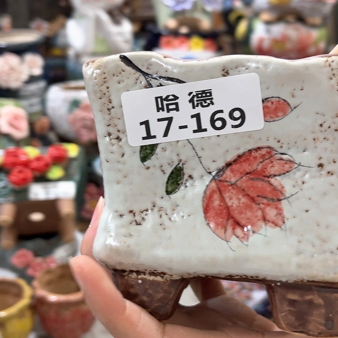 【闪购商品】红陶17169