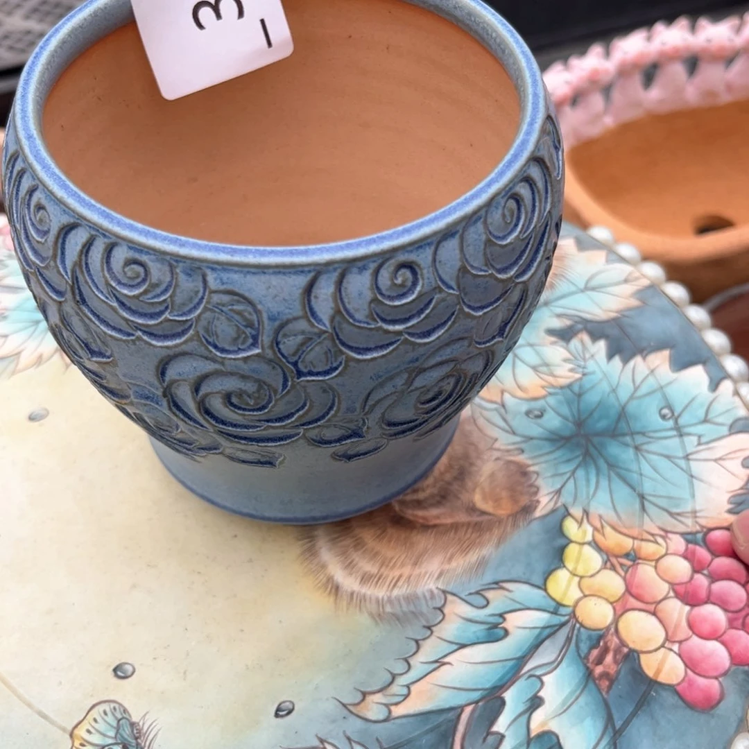 红陶V**.300花盆1个