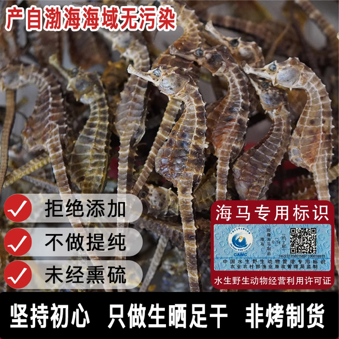 【源头直发】正品保真公母搭配足干海干货马馬适合煲汤泡酒海马干货