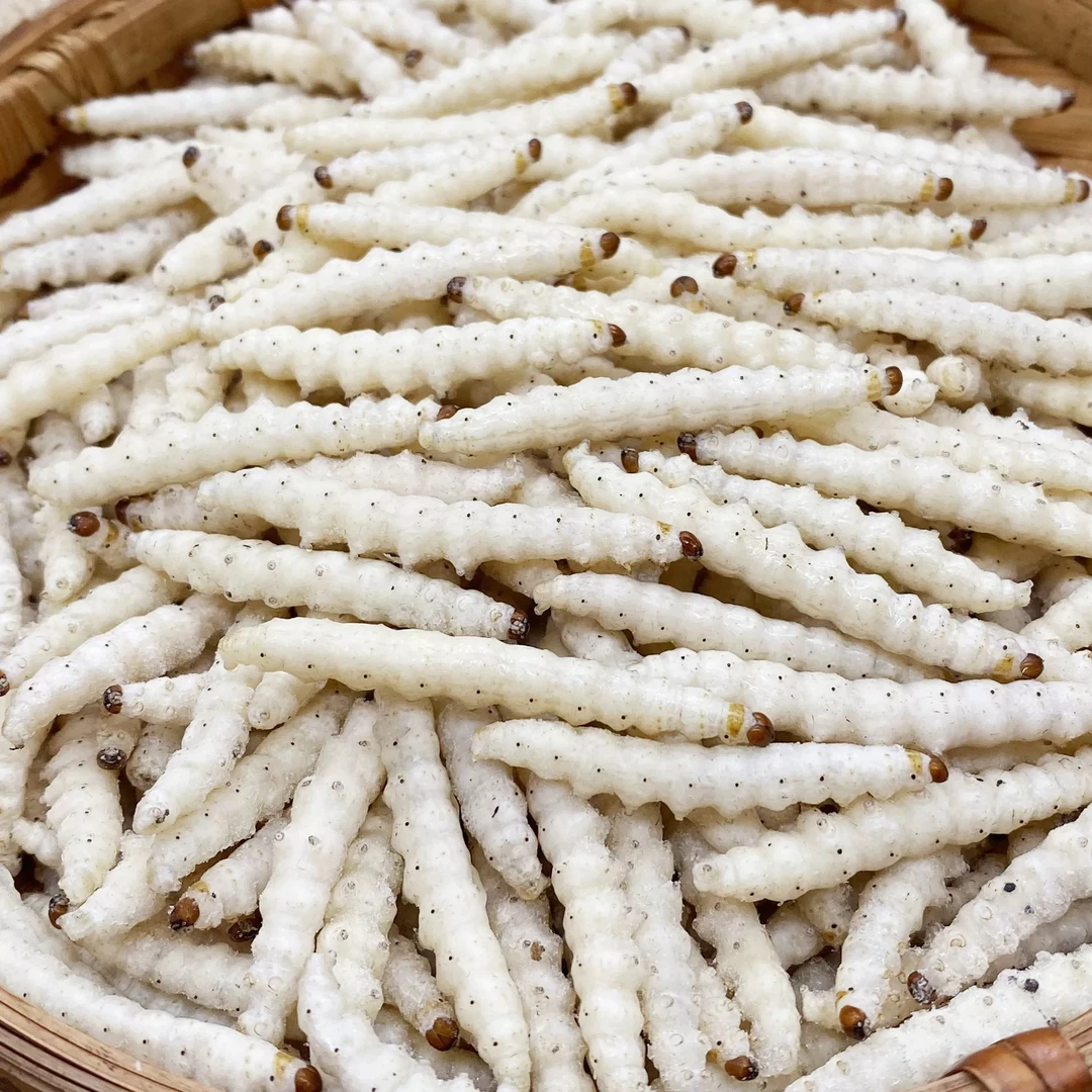 云南特产速冻竹蜂虫竹蛹竹节虫新鲜活无冰衣特色美食