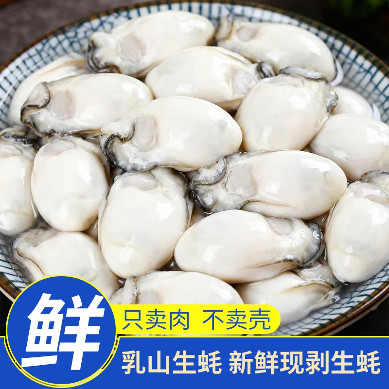 【现剥现发】乳山生蚝肉新鲜速冻牡蛎肉大特大海蛎子肉海鲜500g/罐