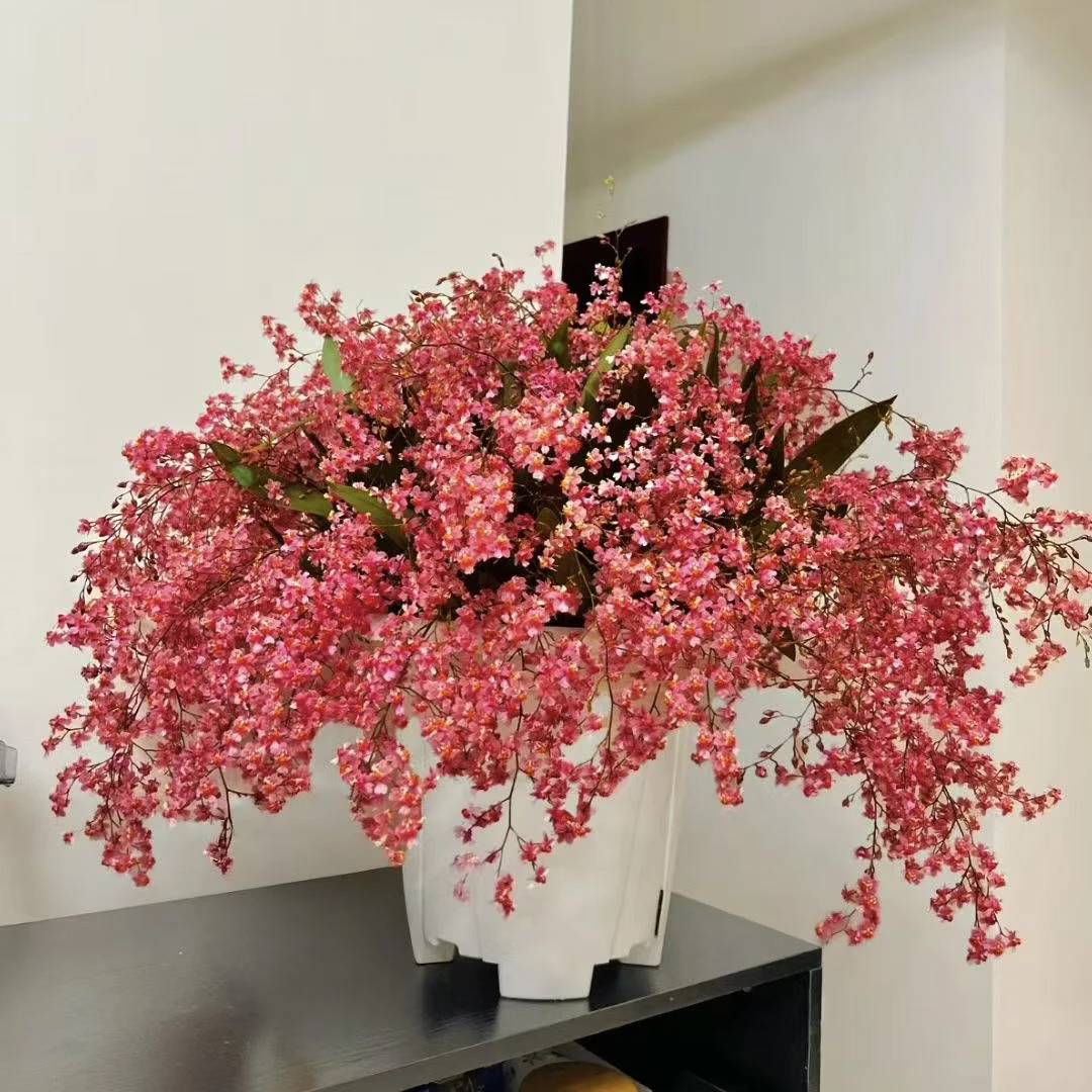 满堂红 10支（130杯盆）红色梦香兰 小巧花阳台客厅 办公室养护简单