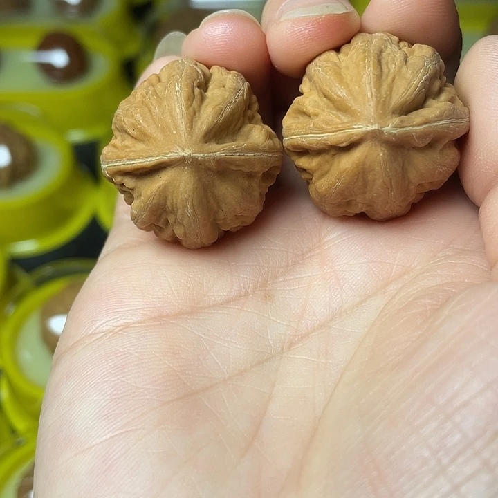 文玩核桃吊坠粗筋大枣