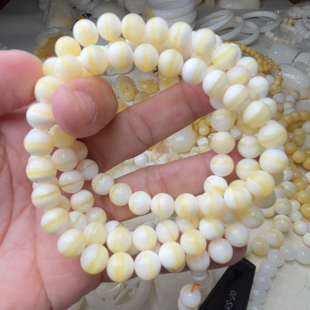 非金属贝壳c****r天然贝壳