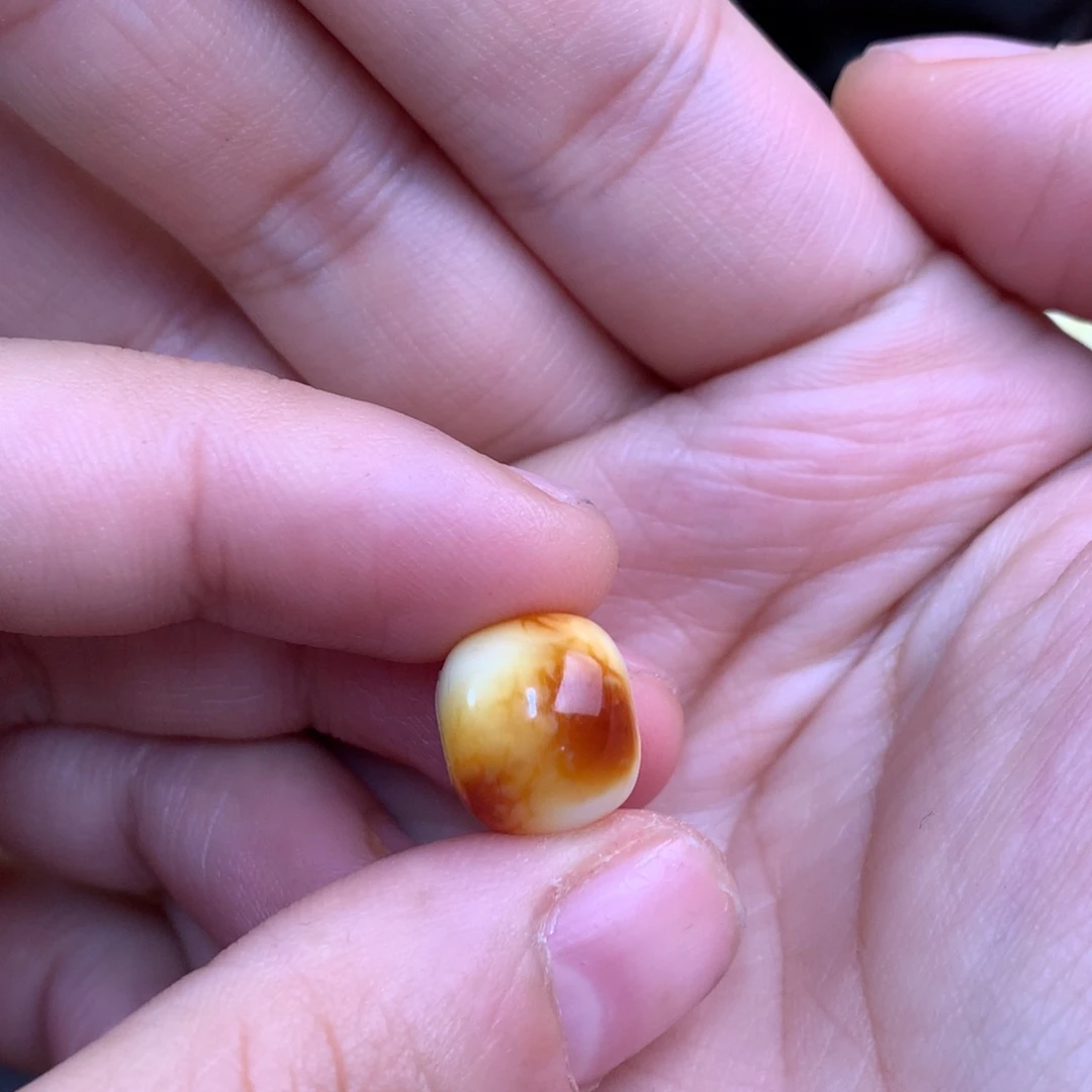 琥珀未镶嵌裸石蜜蜡12