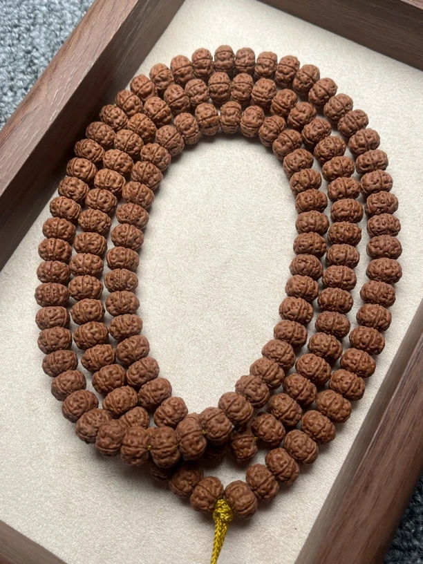 心选：收藏SSS级一代老树王