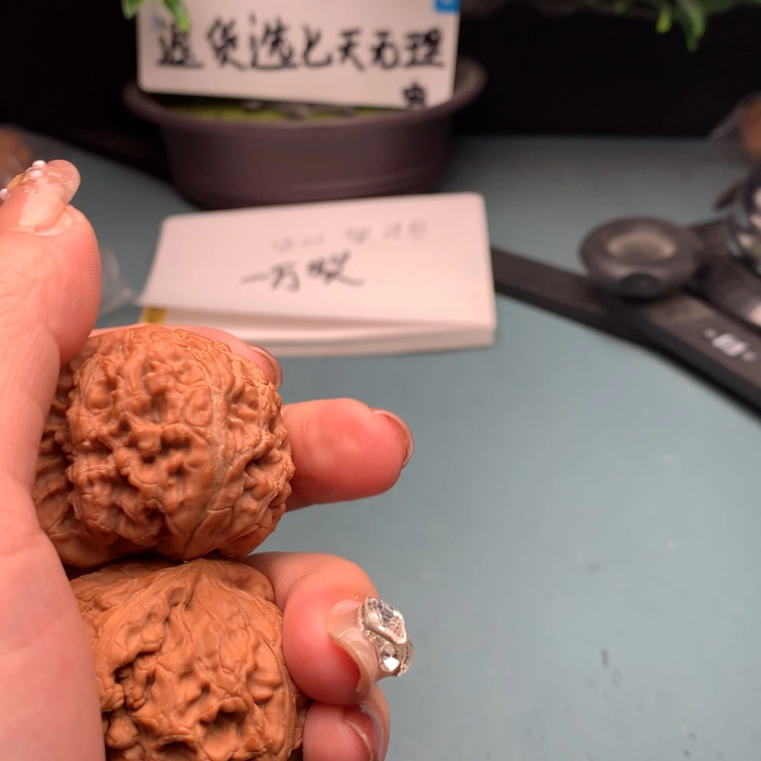 文玩核桃把件水龙4445