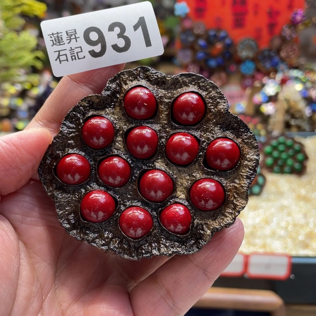 核桃木/黑胡桃（胡桃木）菁*儿931