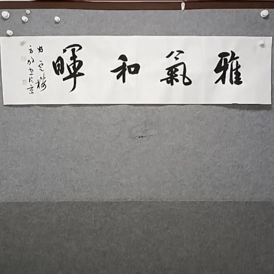 书法雅气和辉四尺对开行书书法作品