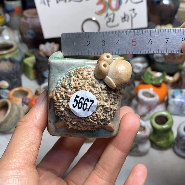 ?*?花盆处理的，不退不换的
