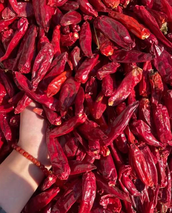 微辣特香干辣椒辣椒高辣产地批发特辣干辣椒特辣特香魔鬼干辣椒