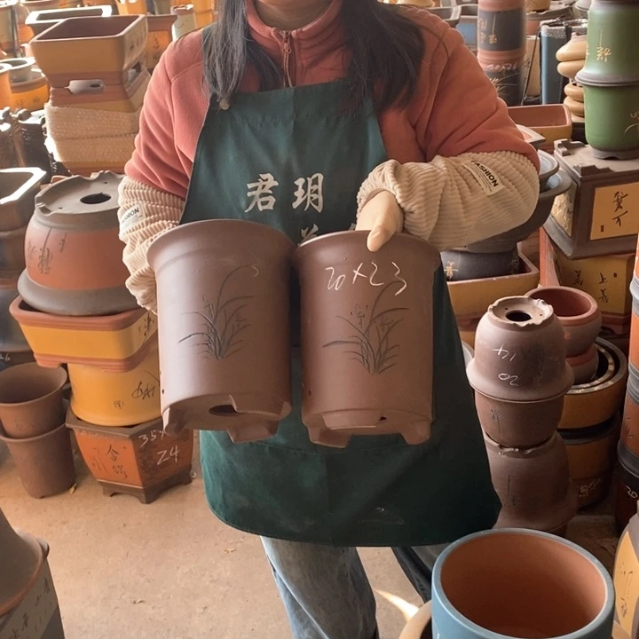 紫砂花盆盆栽花卉苗木种植