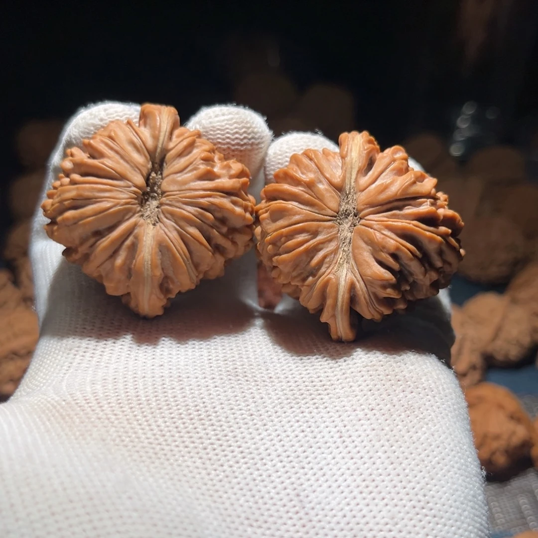 核桃41.5全品拱桥楼