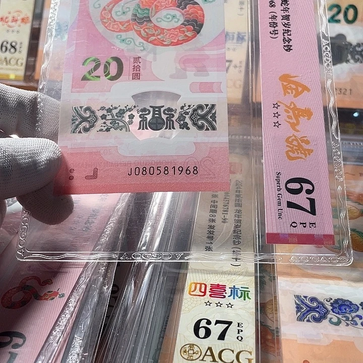 塑料080581968蛇钞单张