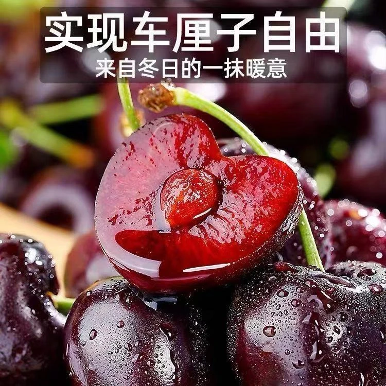 次日达【顺丰包邮】10斤车厘子1JD2JD3JD原包装智利进口车厘子大樱桃