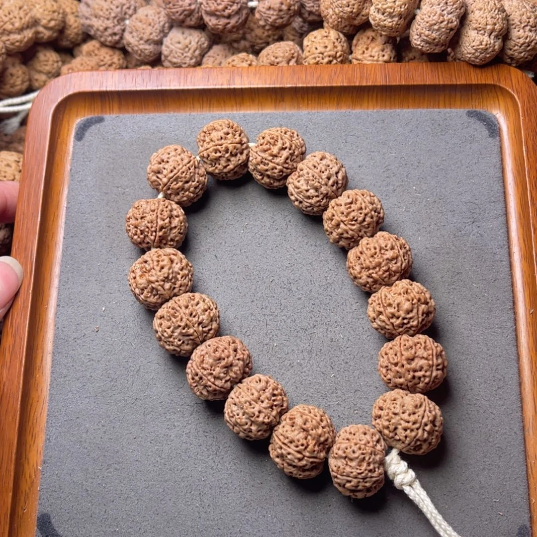 菩提籽类24号金刚菩提双龙六瓣21