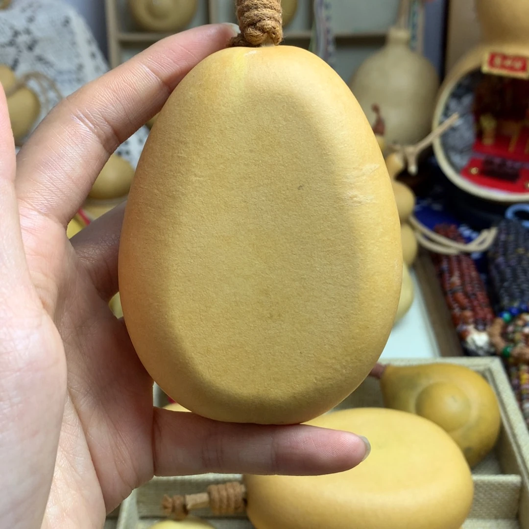 葫芦46号冬瓜厚扁