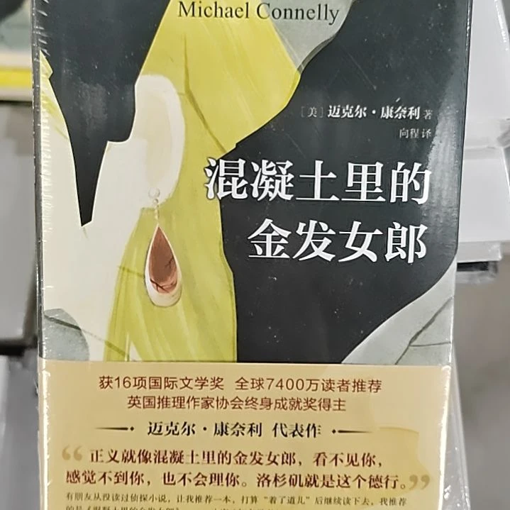 混凝土里的金发女郎精装版的侦探小说