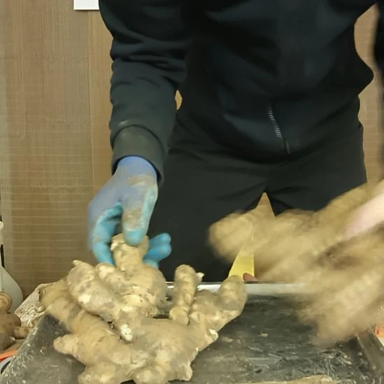 黄姜中国大陆大姜