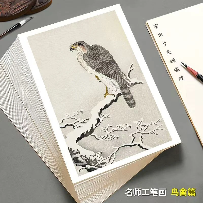 国画临摹卡名师工笔画鸟禽篇艺术培训大师级教学参考卡全套48幅