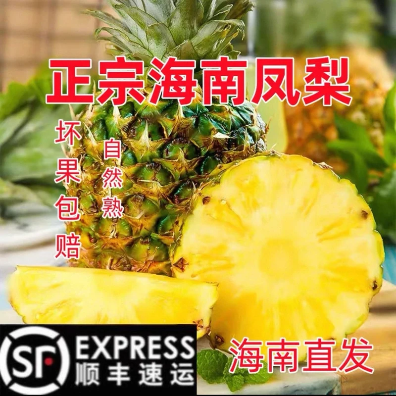 【小明正能量】海南三亚精品冬蜜凤梨 口感酥嫩爆甜多汁风味非常浓