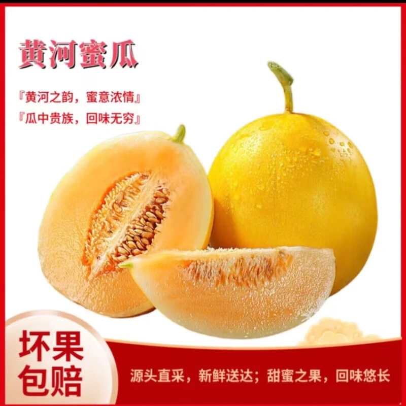 黄河蜜瓜新鲜美味清甜多汁可口当季水果整箱包邮