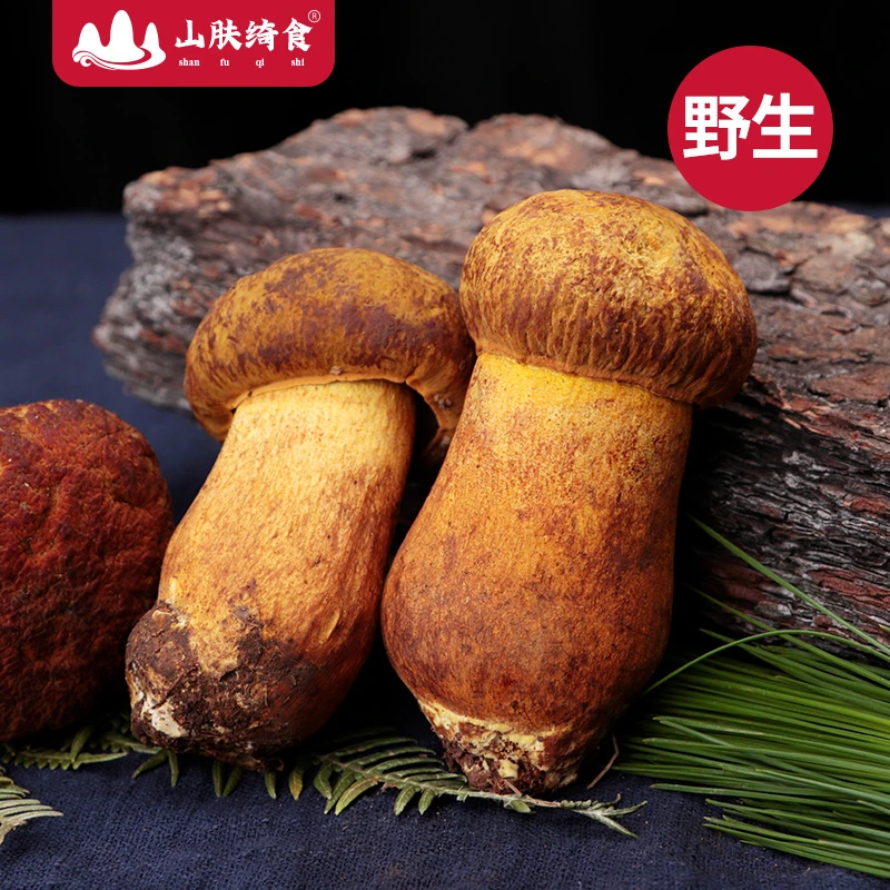 【新鲜黄牛肝】云南山珍煲汤必备野生菌火锅蘑菇野生菌子500g