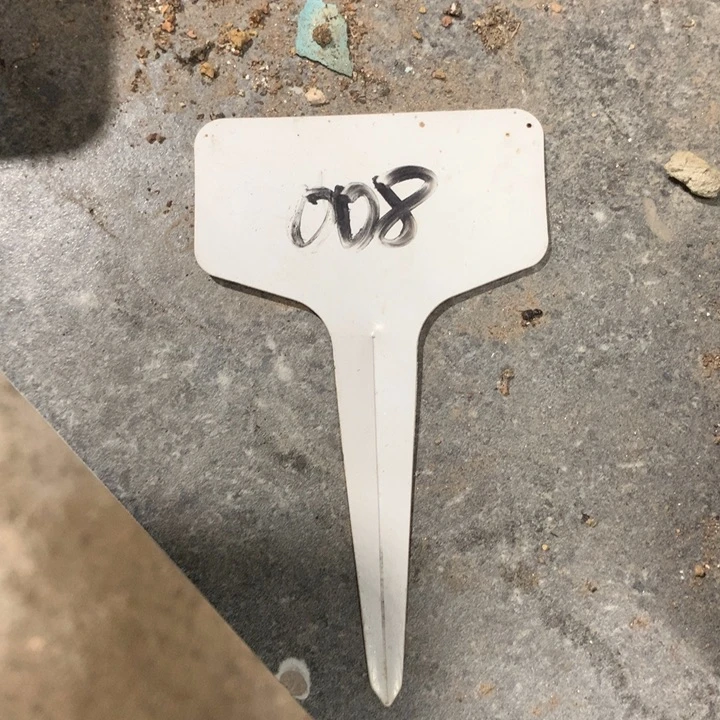 r***t开播福利仙人球仙人球仙人球