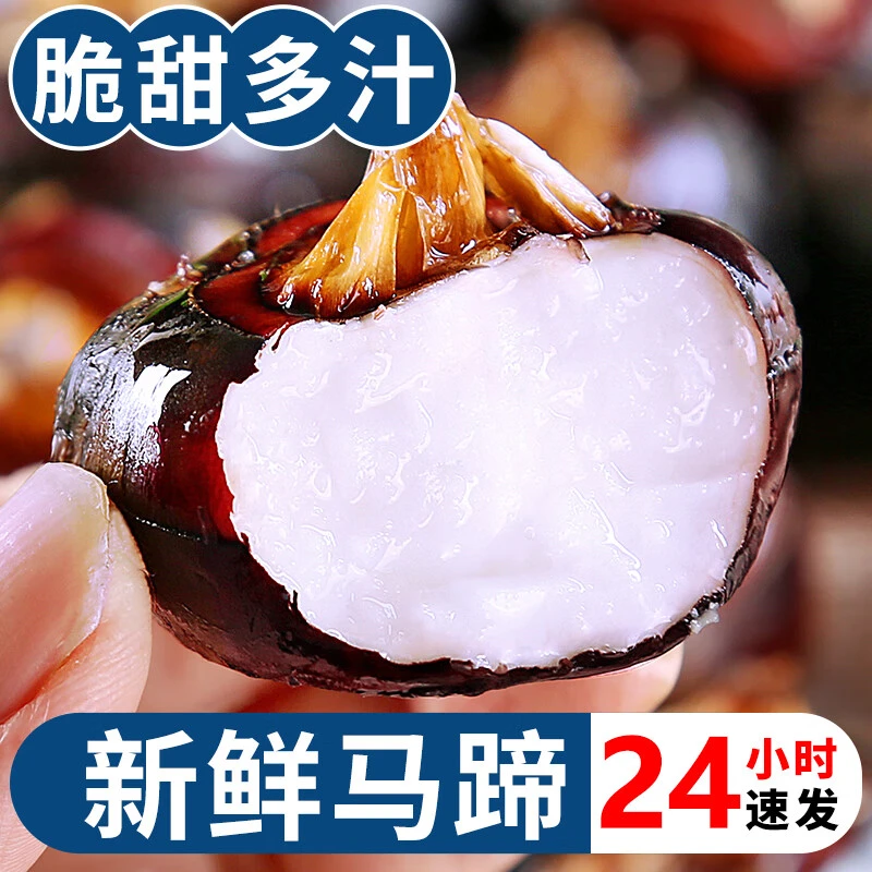 包邮现挖带泥马蹄大果广西桂林时令新鲜水果蔬菜当季整箱脆甜荸荠