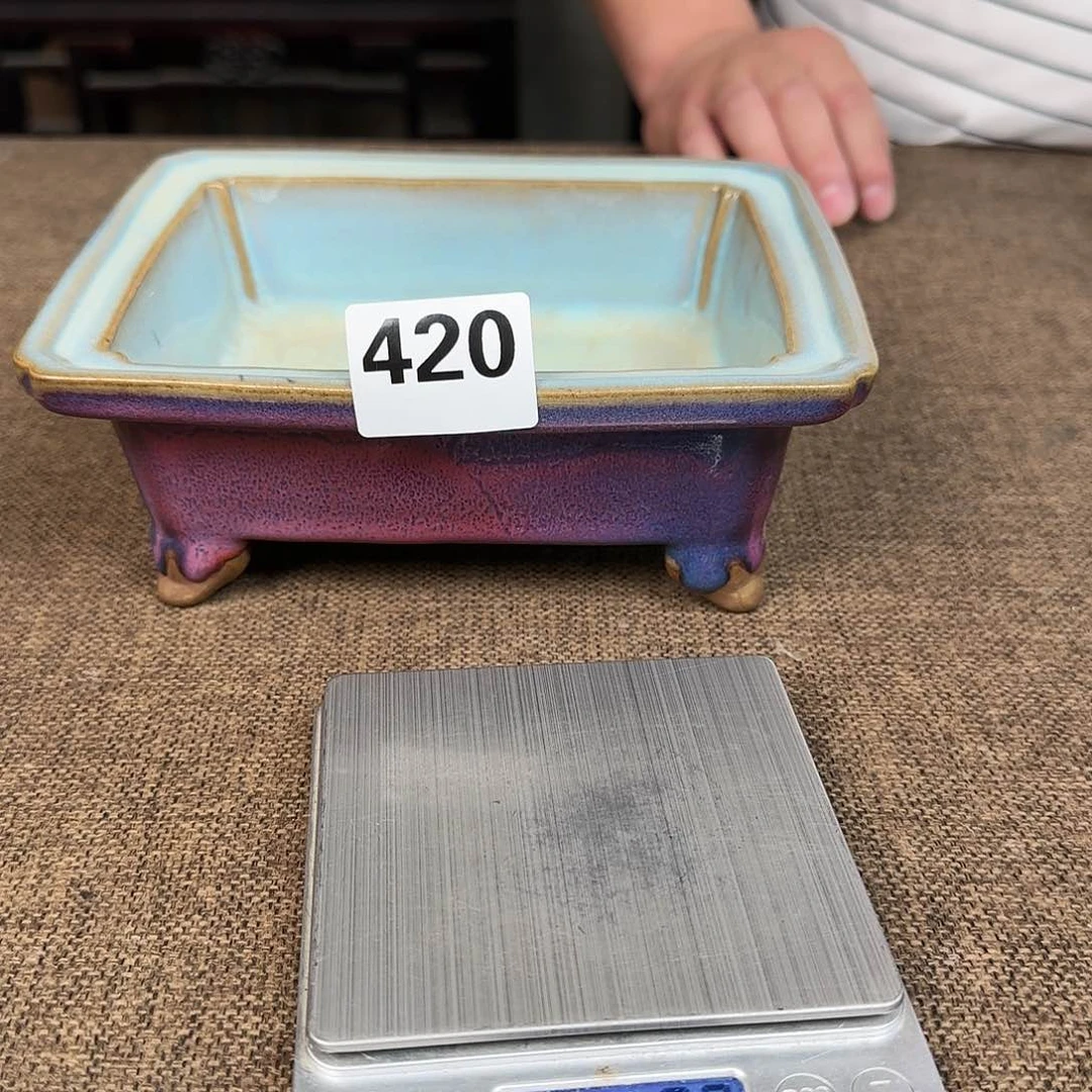 正能量满满的正能量