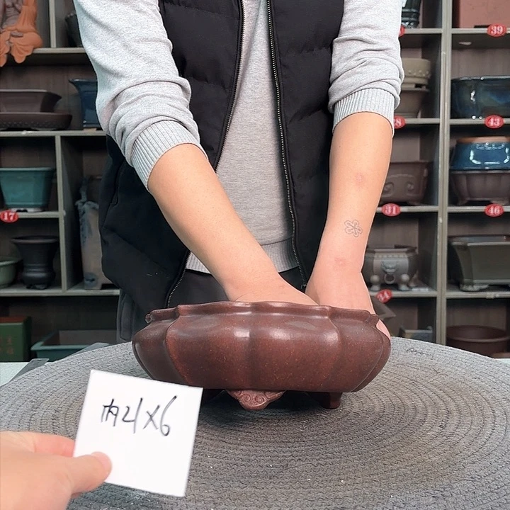 紫砂花盆紫砂的花也太美