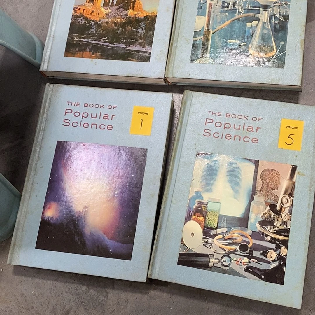 曲***觞精品剪纸作品欣赏