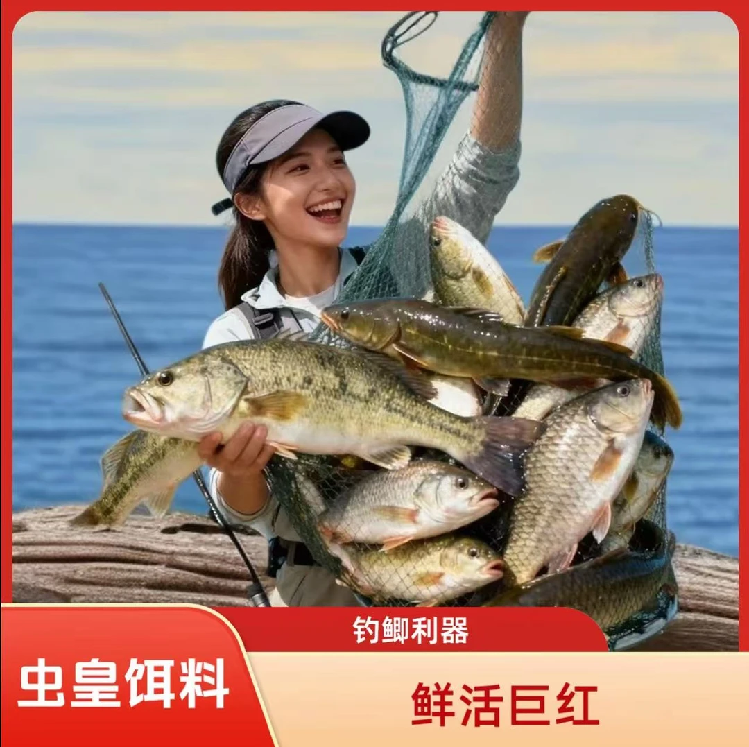 【精品虫皇巨无霸】红虫精品虫野钓黑坑竞技冬季钓鱼必备饵料-22