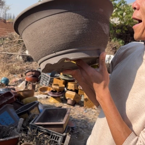 紫砂花盆特价包邮送盒