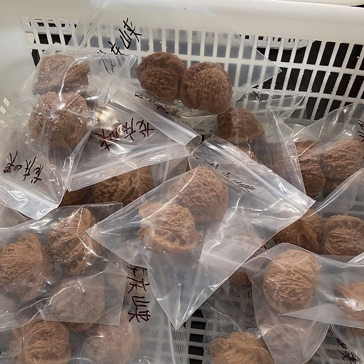 吊坠文玩核桃龙庆峡一般团购