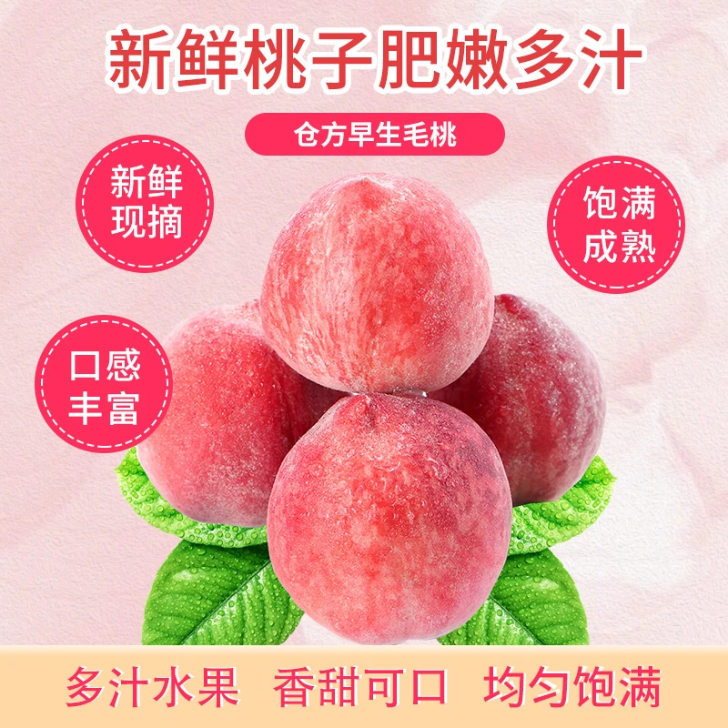 天水秦安枝头鲜果正宗蜜桃现摘现发脆甜多汁