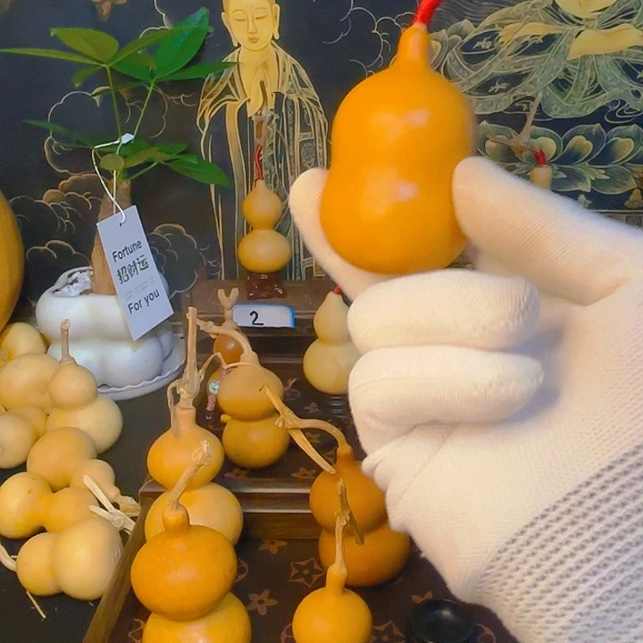 葫芦精品小葫芦小