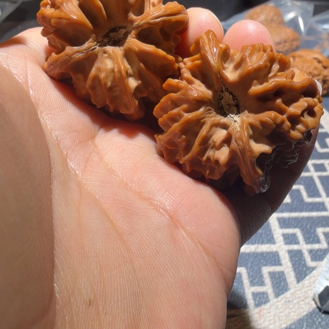 文玩核桃把件曹大龙