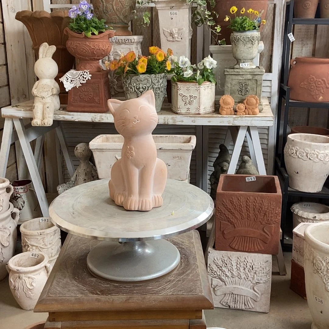 猫咪高21福利111111111