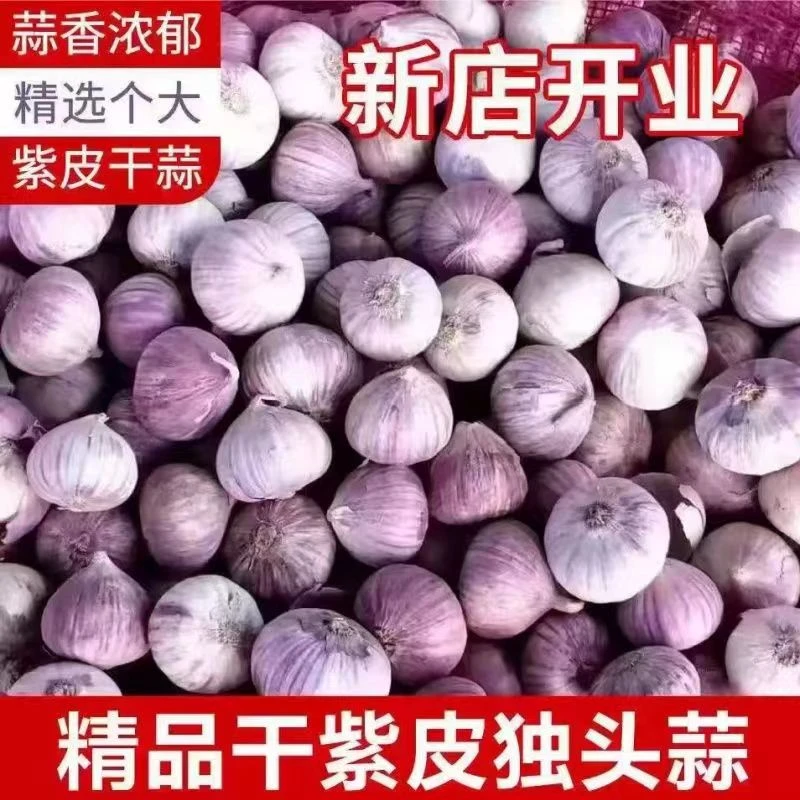 【优选干蒜】2025年紫皮独头蒜新蒜紫皮蒜大蒜头0.5/2/3/5斤包邮
