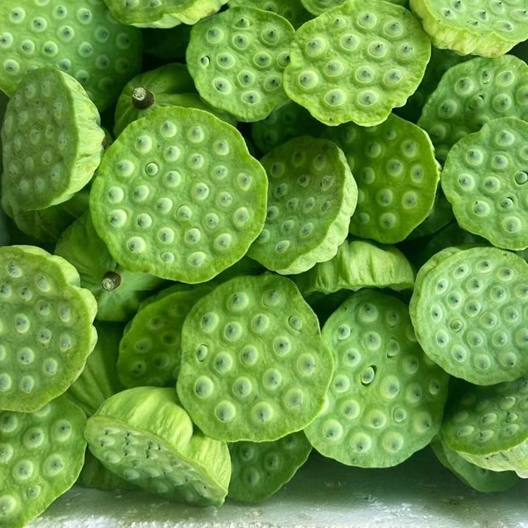 【十元10朵】新鲜莲蓬现摘现发甜嫩可口当季应季水果可生吃