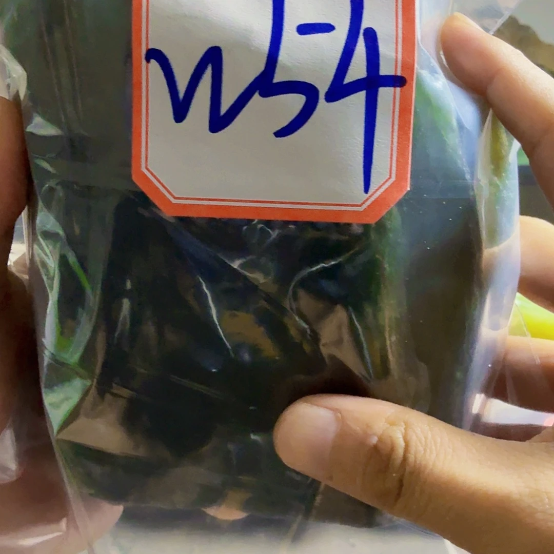 用***2未镶嵌蛇纹石玉原石料