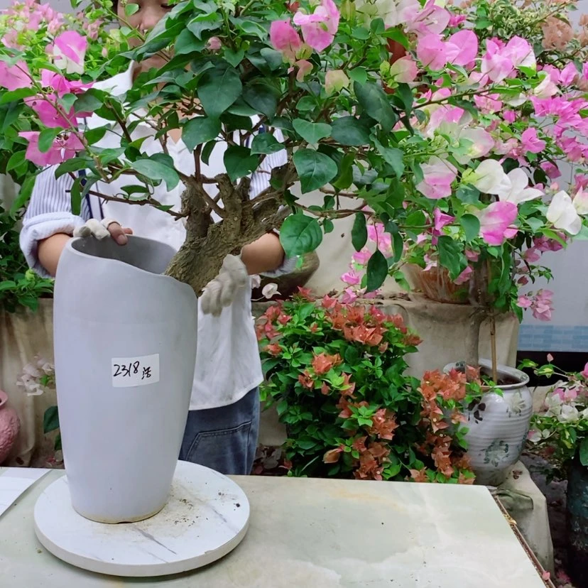 【闪购商品】完全开放