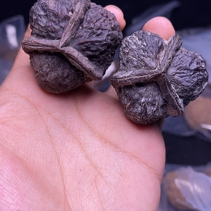 文玩核桃把件   201