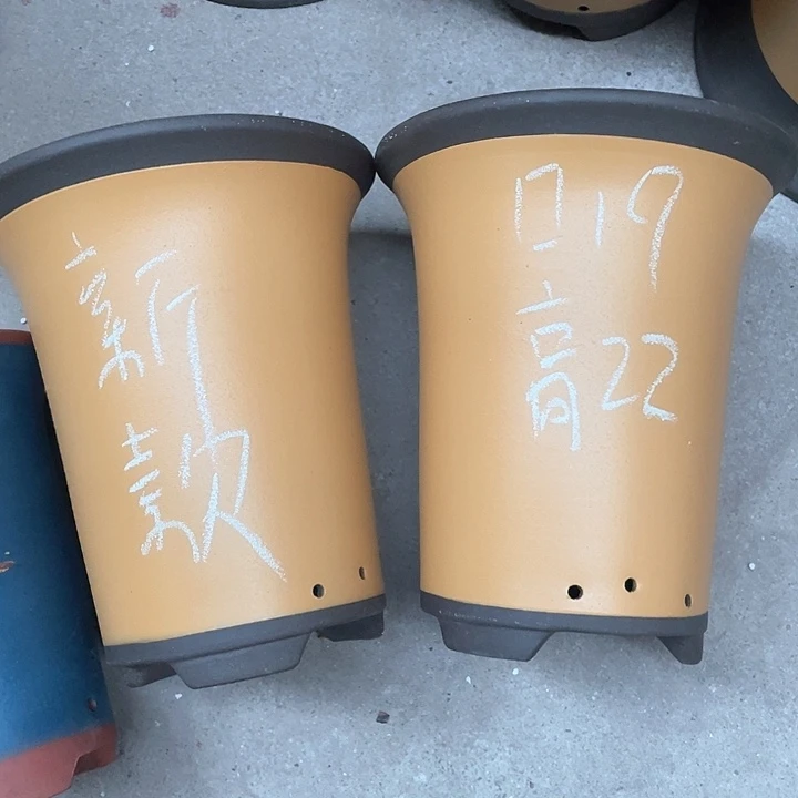 红陶紫砂紫砂紫砂